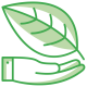 Zielony liść na dłoni